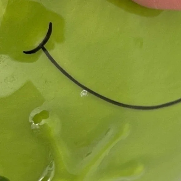 PIER 1 One Imports Freddy The Frog Coffee Cup Mug Planter Ceramic Sunflower Cute - Picture 10 of 10